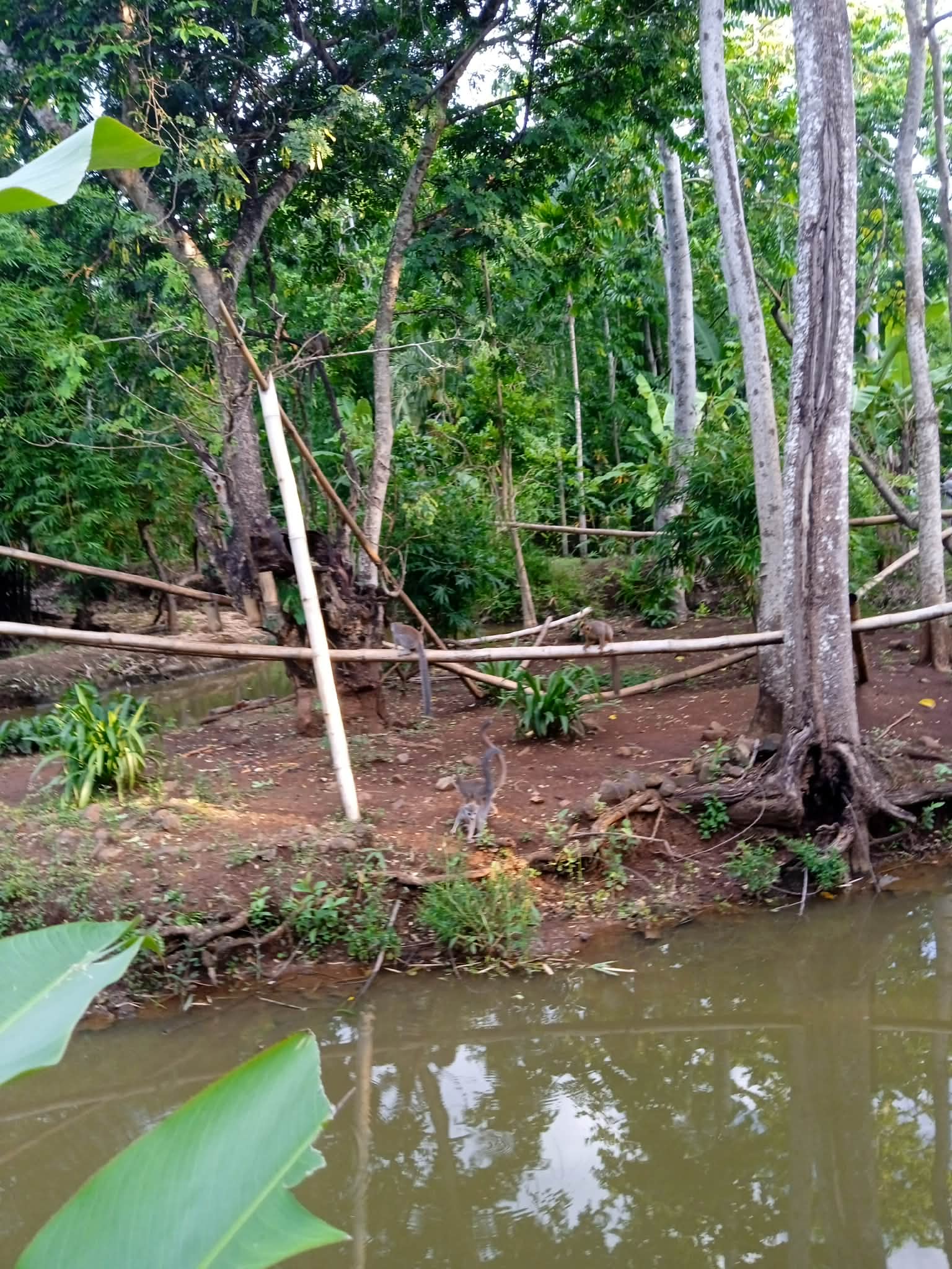 Tour guidé Ramena plage sable blanc Madagascar