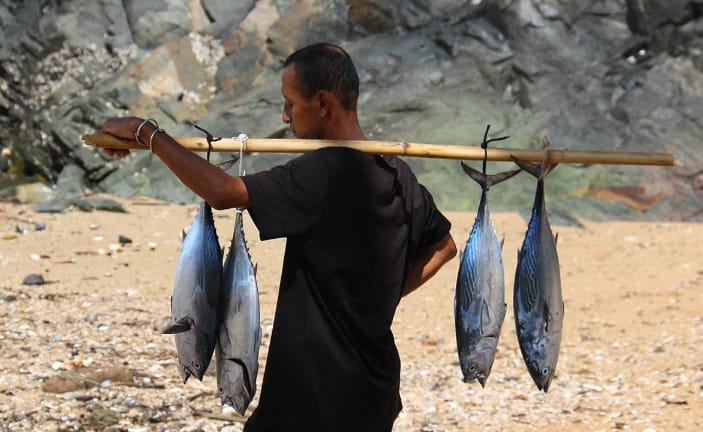 Baobabs majestueux avenue Madagascar