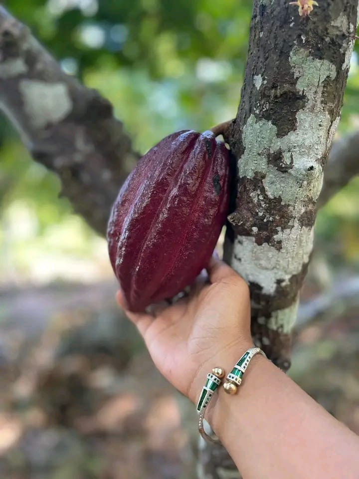 Plage turquoise excursion île Madagascar