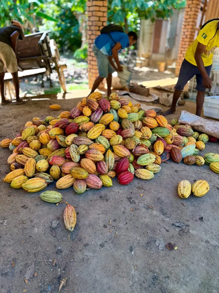 Observation faune parc national Madagascar