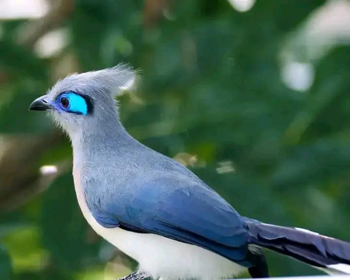 Tour bateau îlot paradisiaque Nosy Be