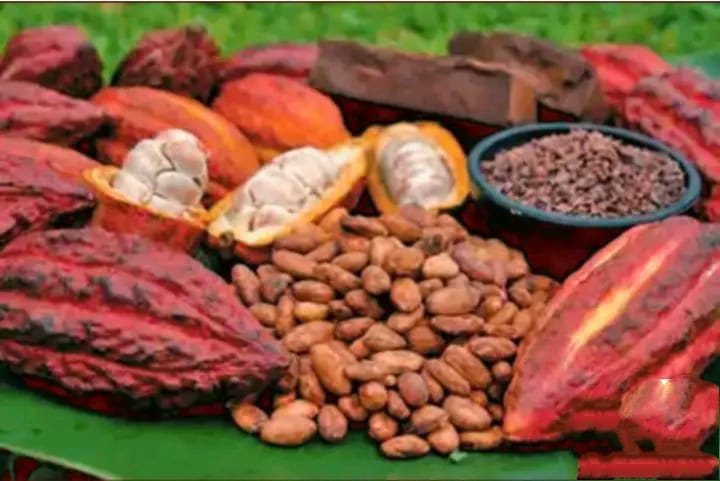 Panorama montagne Diego Suarez Madagascar