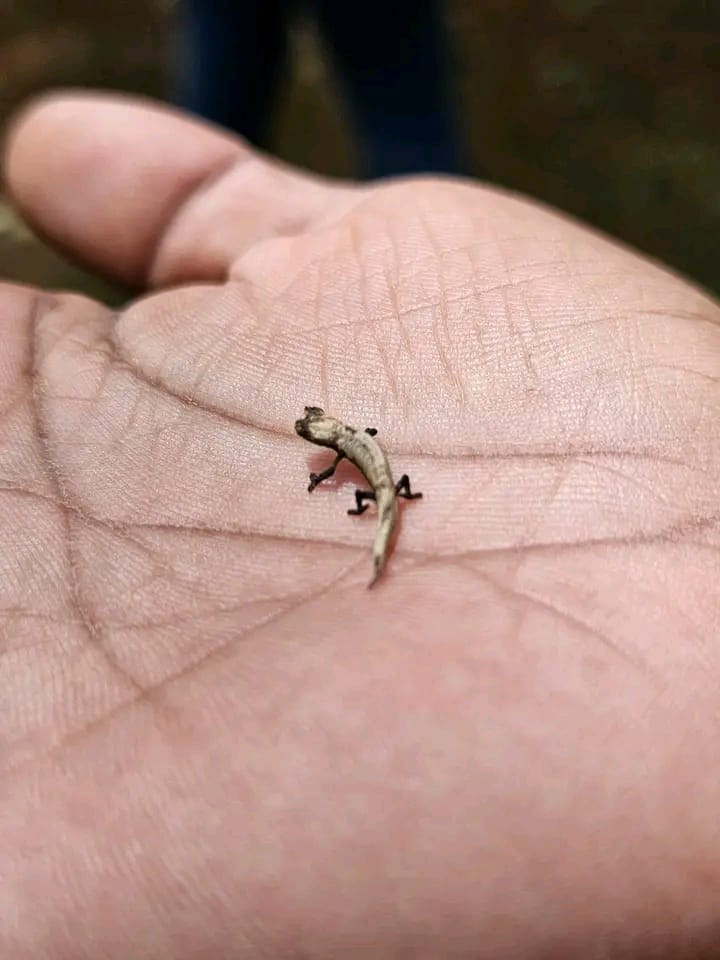 Clients satisfaits tour Mada Infinity Tour