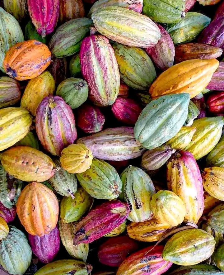 Aventure découverte Madagascar authenticité