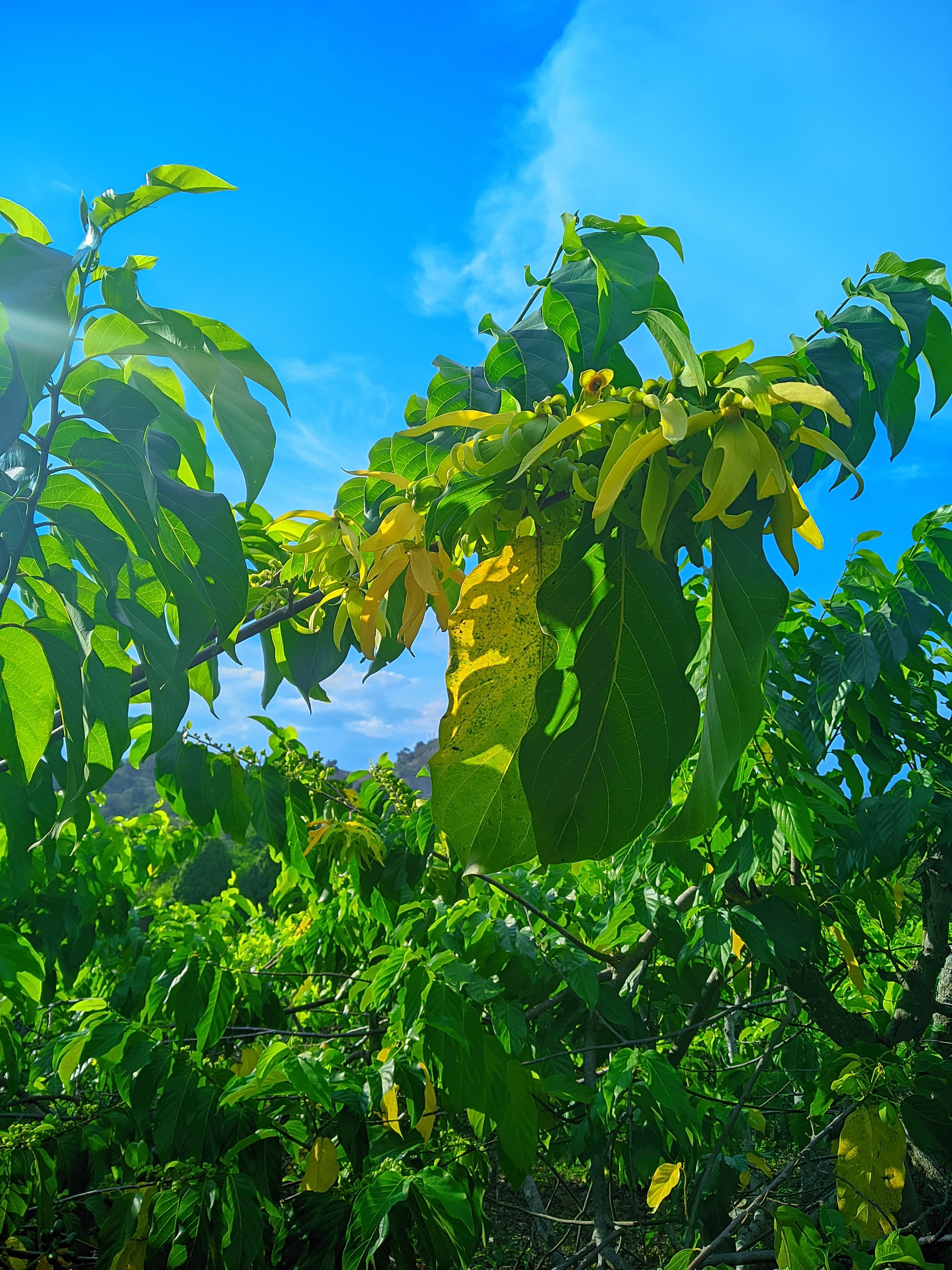 Tour guidé Ramena plage sable blanc Madagascar