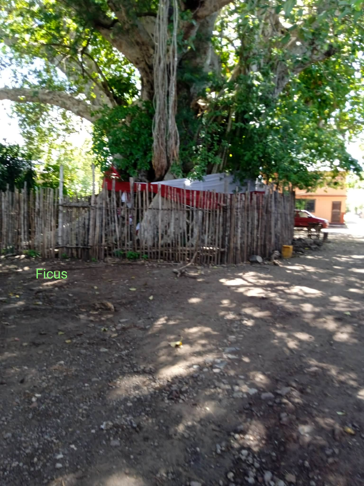 Excursion nature réserve naturelle Madagascar