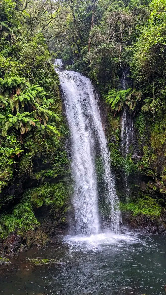 Marché coloré de Madagascar épices et artisanat