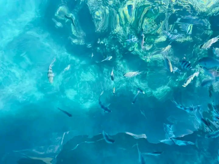 Kayak de mer Madagascar exploration côtière