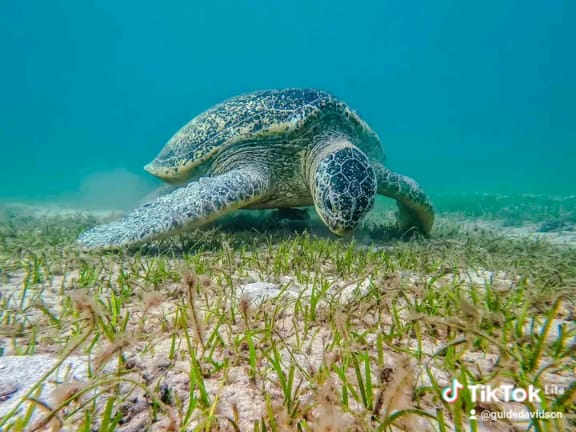 Trekking dans les parcs nationaux de Madagascar