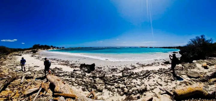 Observation des baleines Madagascar saison juillet-septembre