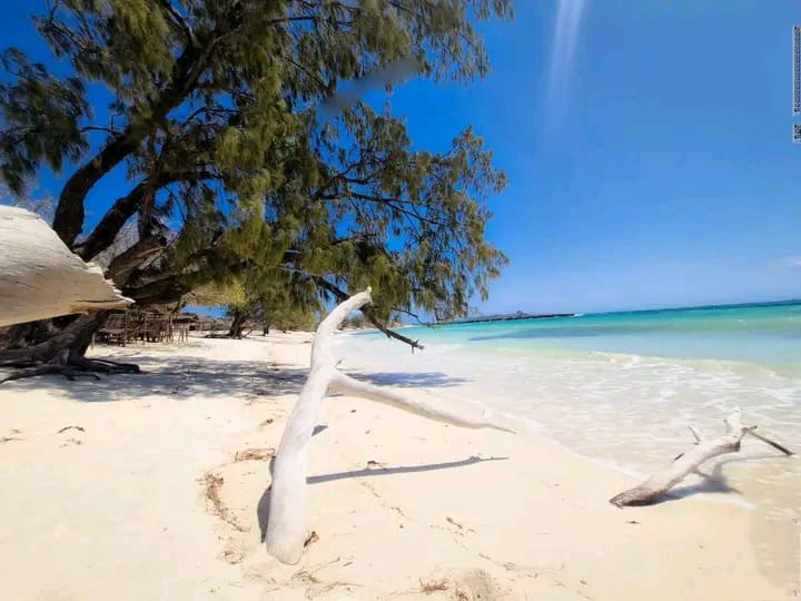 Réserve naturelle protégée Madagascar écotourisme