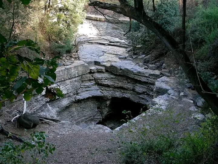 Plage de sable blanc à Madagascar avec palmiers