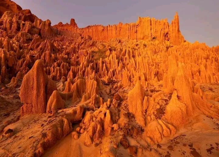 Écotourisme responsable Madagascar tourisme durable