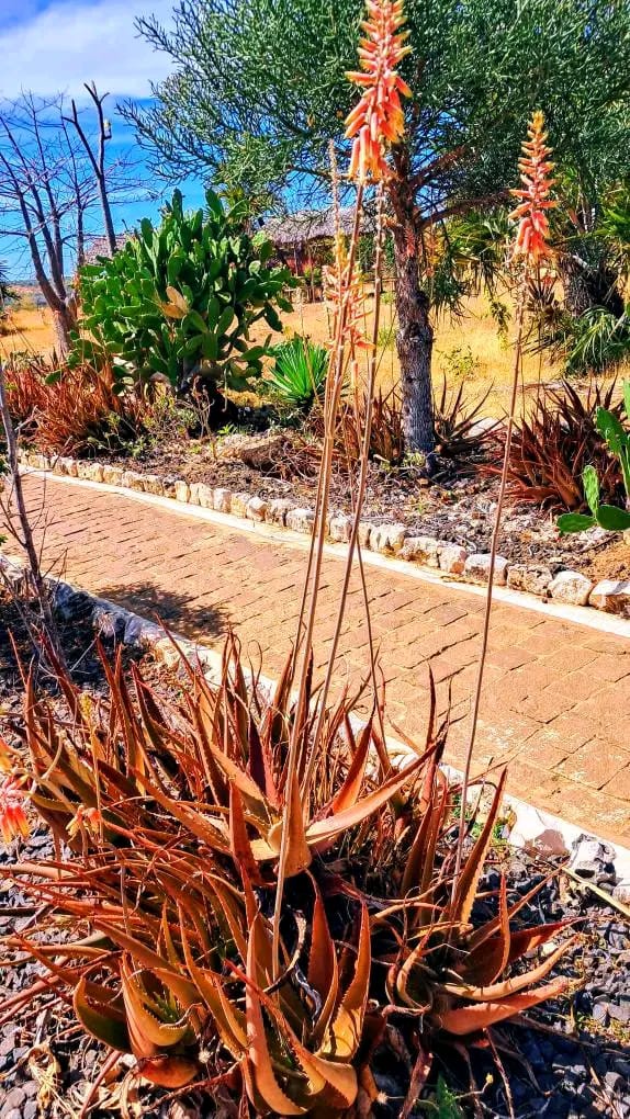 Hébergement familial Madagascar chambres communicantes