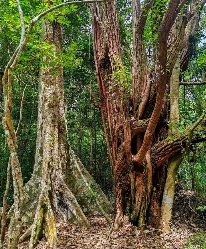 Coucher de soleil romantique plage Madagascar