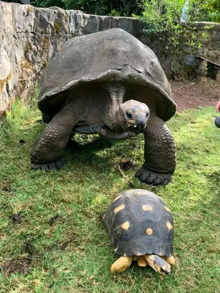Voyage sur mesure Madagascar expérience unique