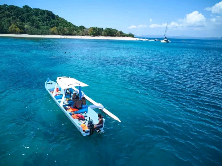 Baobabs emblématiques avenue des baobabs Madagascar