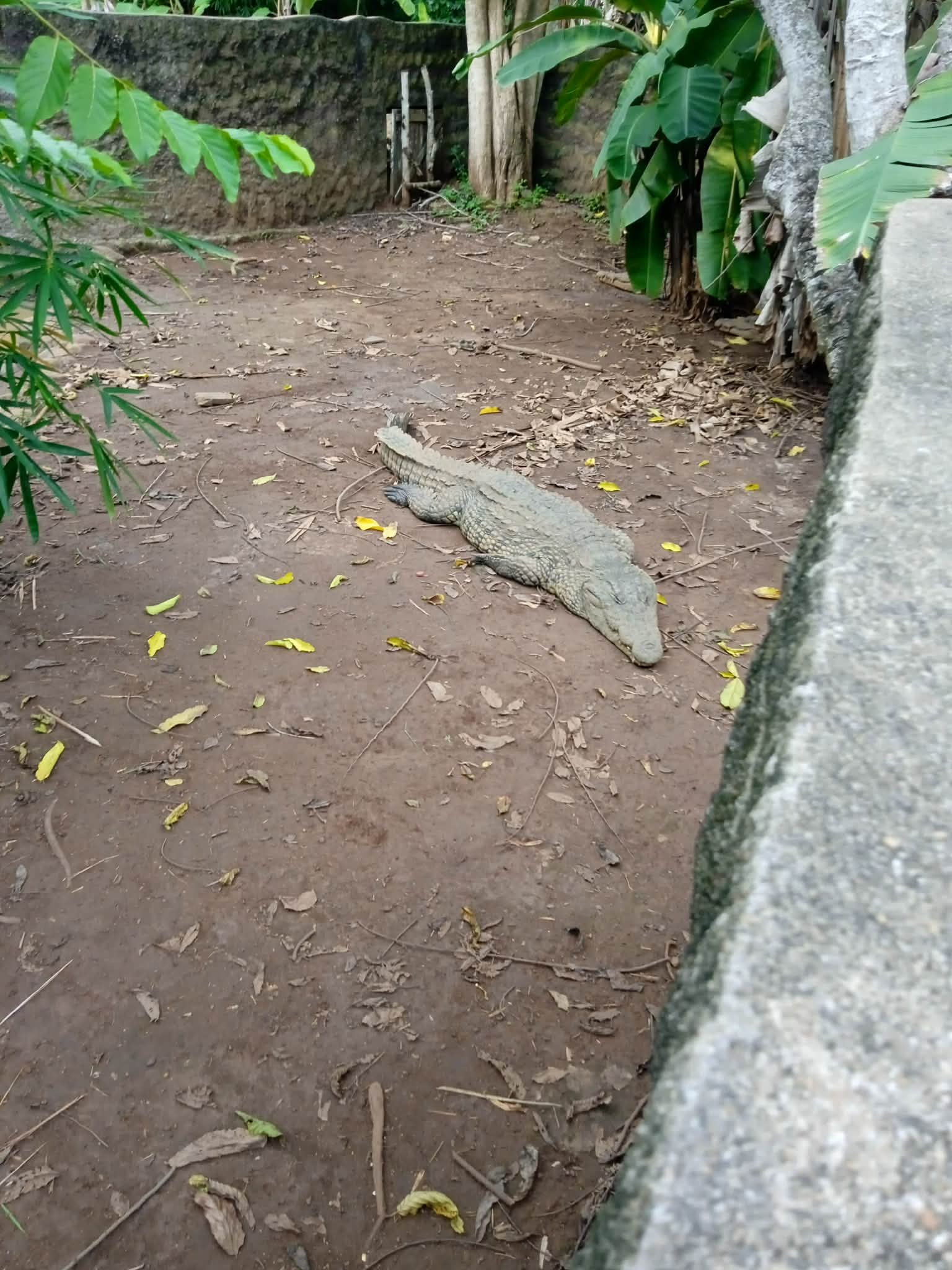 Groupe touristes heureux excursion Madagascar